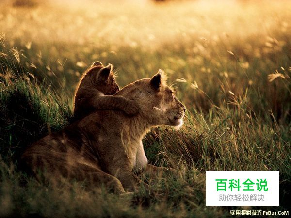 图解瞬间与构图的方法