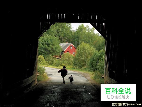 图解瞬间与构图的方法