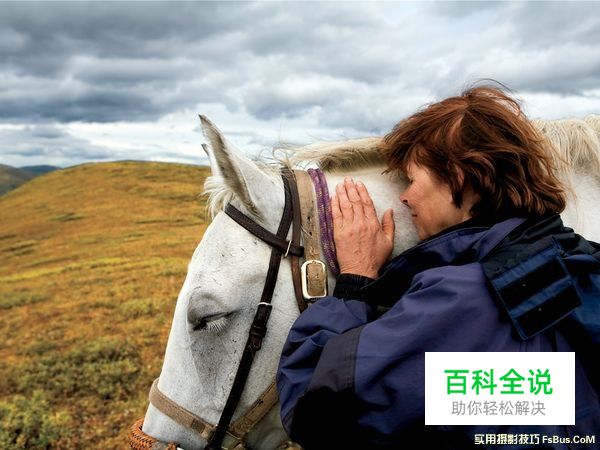 图解瞬间与构图的方法