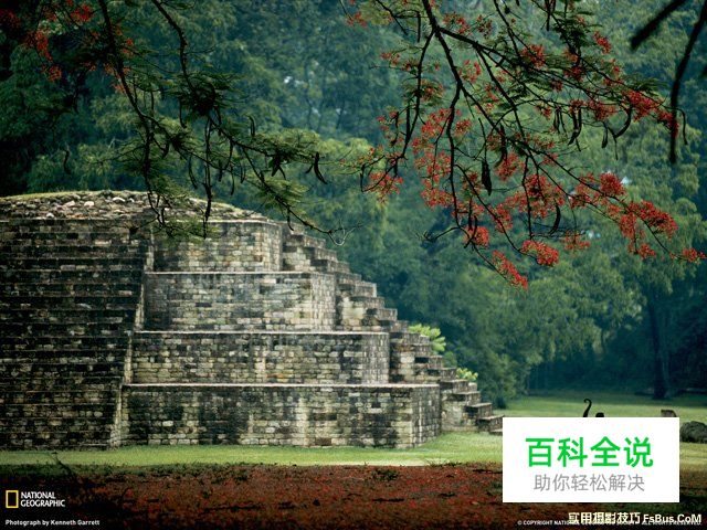 图解瞬间与构图的方法