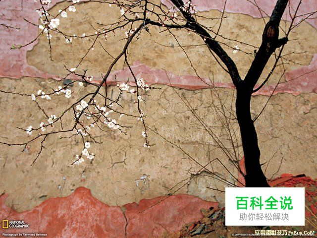 图解瞬间与构图的方法