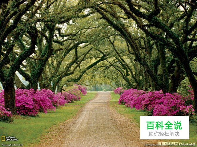 图解瞬间与构图的方法