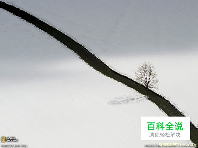 图解瞬间与构图的方法