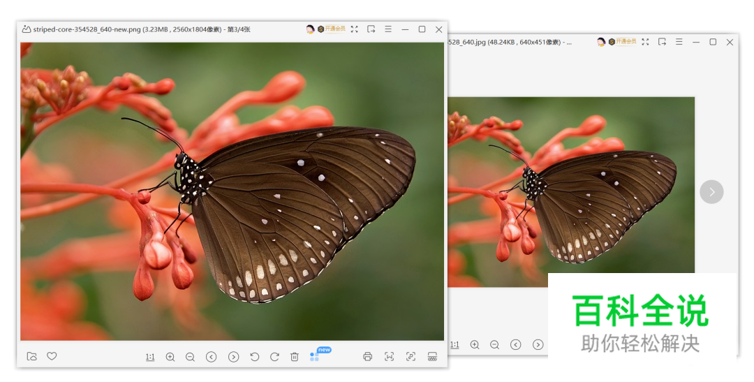 图片无损放大，这个效果不错！