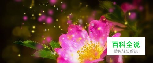 突然发现电脑的C盘快满了怎么办