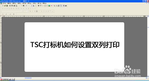 TSC打标机如何设置两列打印