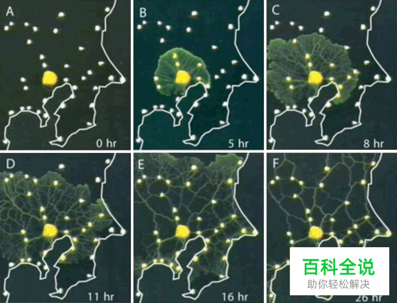 探索几何学设计