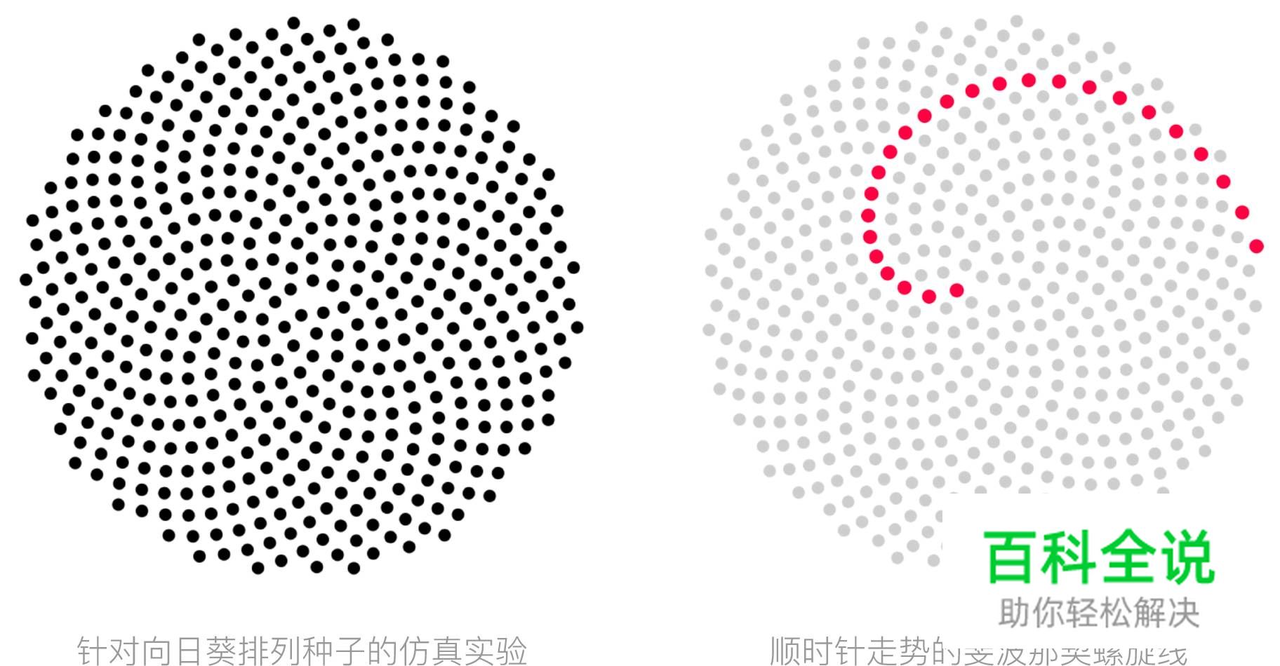 探索几何学设计