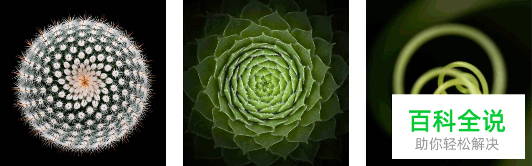 探索几何学设计