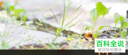 台式机共享手机网络教程