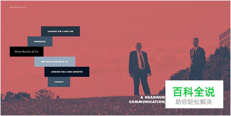 探索网页中的双色大法