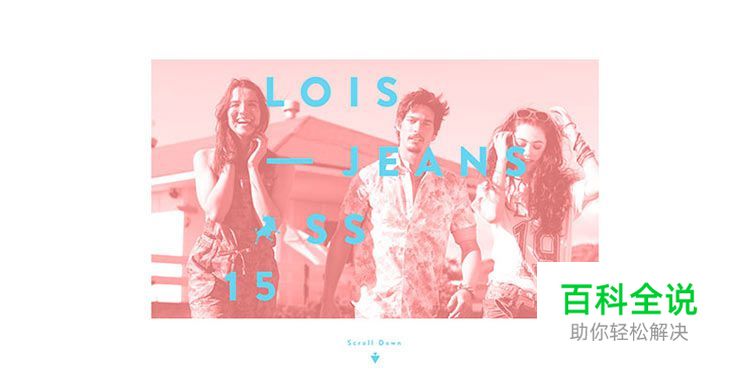 探索网页中的双色大法