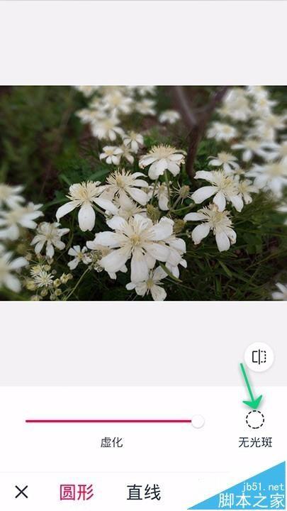 天天P图app怎么虚化照片背景?