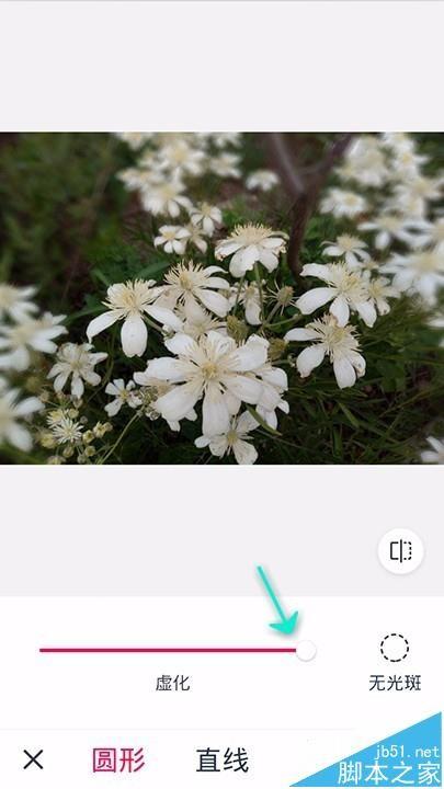 天天P图app怎么虚化照片背景?