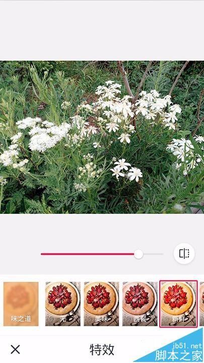 天天P图app怎么给图片添加特效功能?