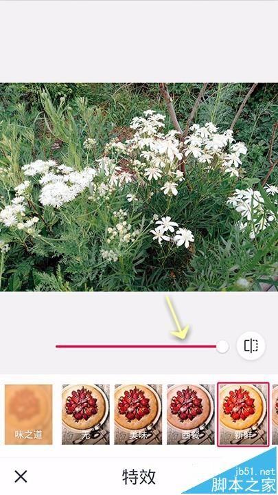 天天P图app怎么给图片添加特效功能?