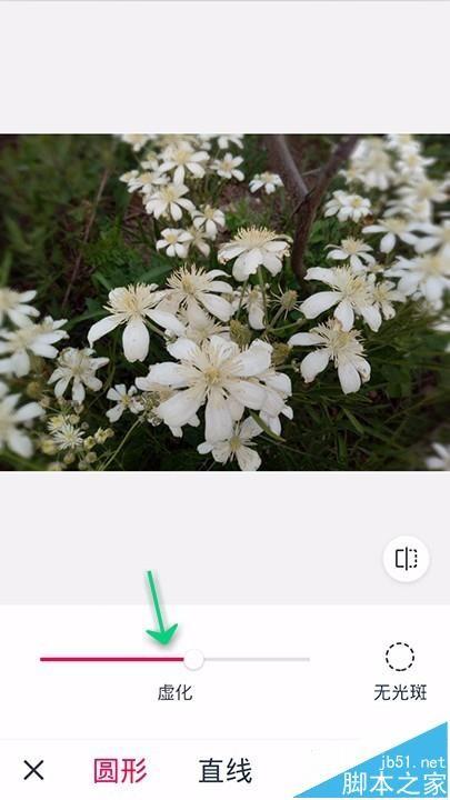 天天P图app怎么虚化照片背景?