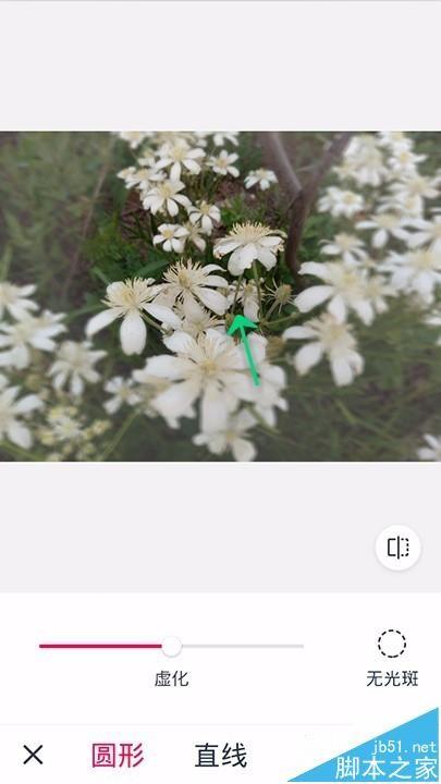 天天P图app怎么虚化照片背景?