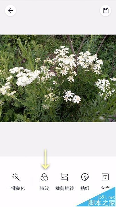 天天P图app怎么给图片添加特效功能?