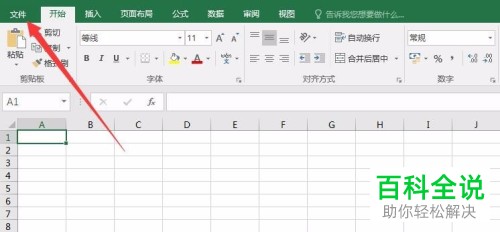 txt格式的文件怎么导入到Excel中？