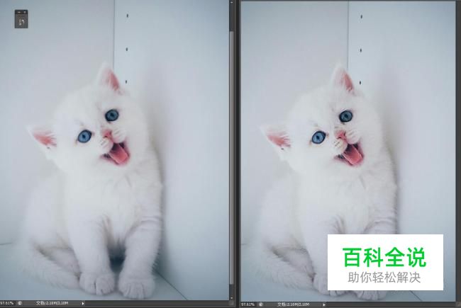 图像有点糊咋办？使用PS高反差保留帮你解决