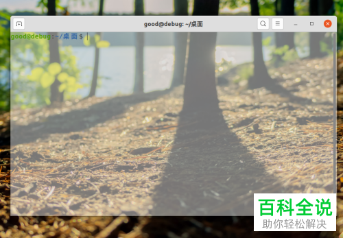 ubuntu v20系统怎么设置终端的透明效果