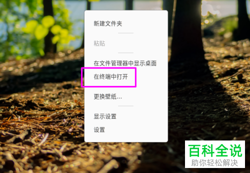 ubuntu v20系统怎么设置终端的透明效果