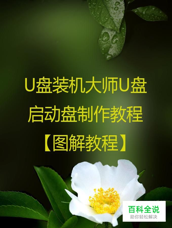 U盘装机大师U盘启动盘制作教程【图解教程】