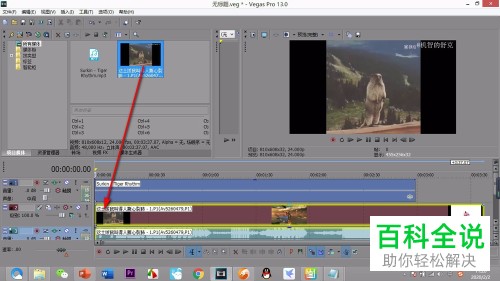vegas软件中的轨道怎么插入或删除