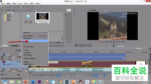 vegas软件中的轨道怎么插入或删除