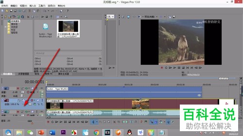 vegas软件中的轨道怎么插入或删除