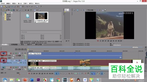 vegas软件中的轨道怎么插入或删除