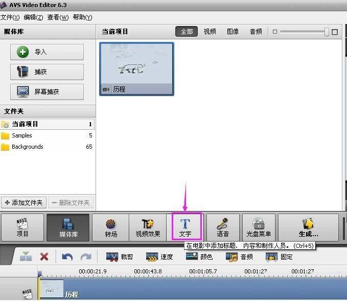 Video Editor给视频添加标题？