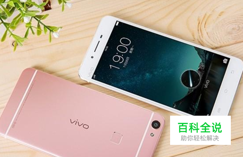 vivox6怎么开启闪充