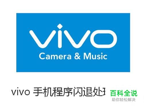 vivo手机程序闪退处理方法