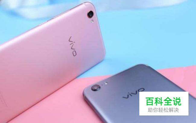 Vivox9plus和oppor9splus哪个好？有什么区别？
