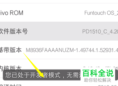vivo手机的开发者模式如何开启