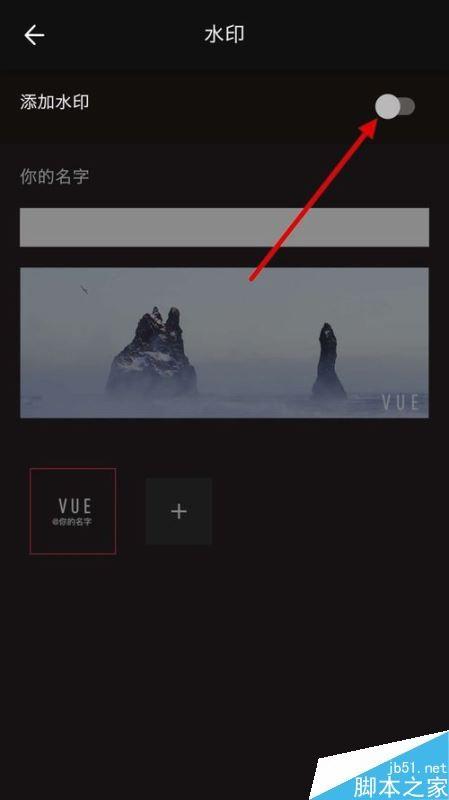 VUE怎么去除视频水印？VUE视频水印关闭教程