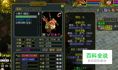 问道如何给宠物打入炼妖石