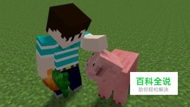 我的世界末影龙旗帜做法攻略