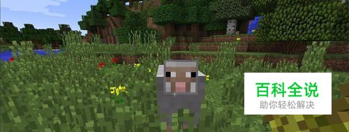 我的世界怎么养羊