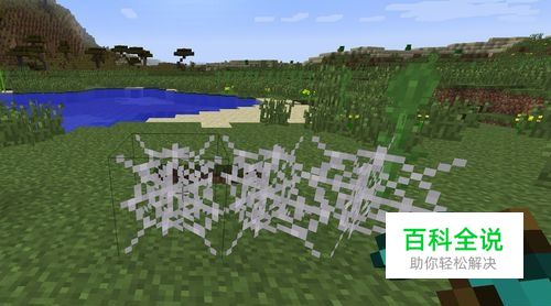 我的世界蜘蛛网怎么采集