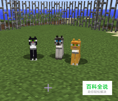 我的世界猫如何驯服