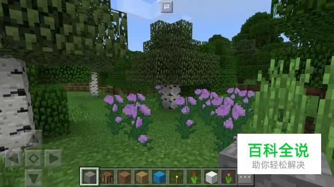 我的世界怎么染色