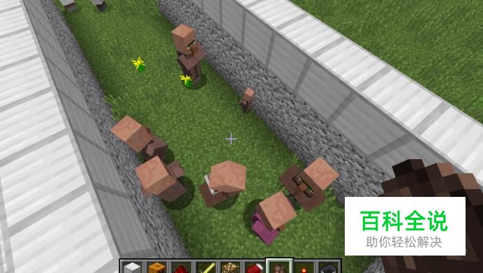 我的世界怎么繁殖村民及铁傀儡怎么打