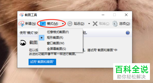 win10系统如何截屏