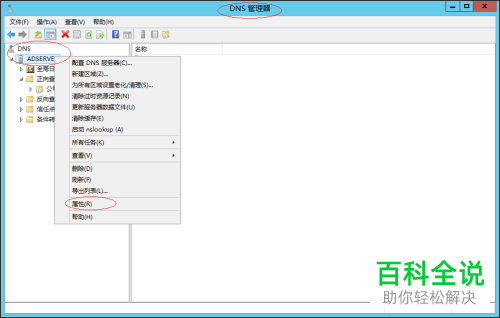 Windows Server 2012 R2系统中找不到在哪编辑DNS根提示