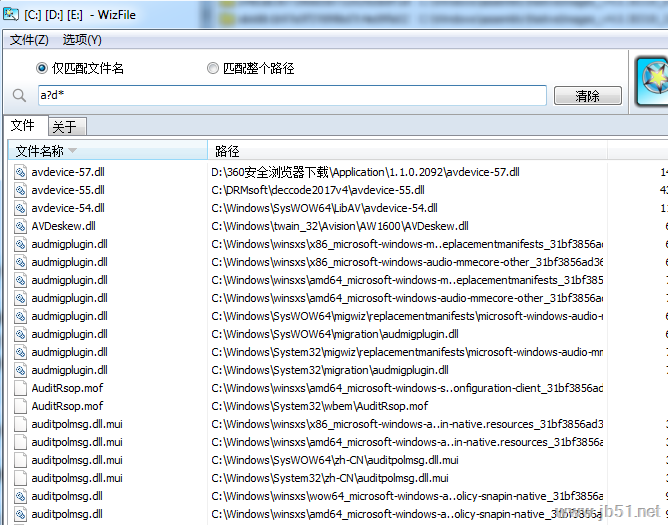 WizFile文件快速搜索工具安装使用教程