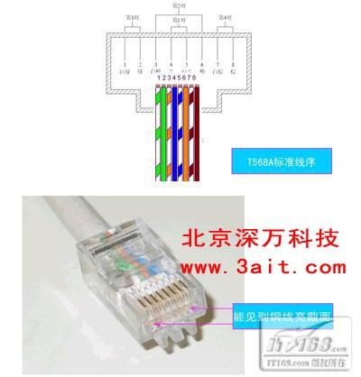 网络模块怎么接线图解