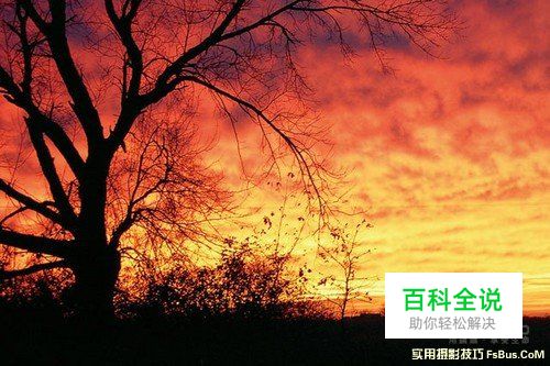 完美运用自然光动人的佳作